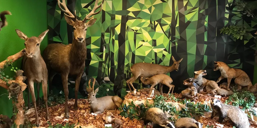永安旅遊