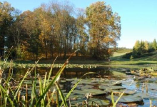 Botanical Garden景点图片