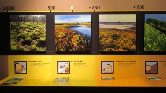 Sincfala: Museum van de Zwinstreek