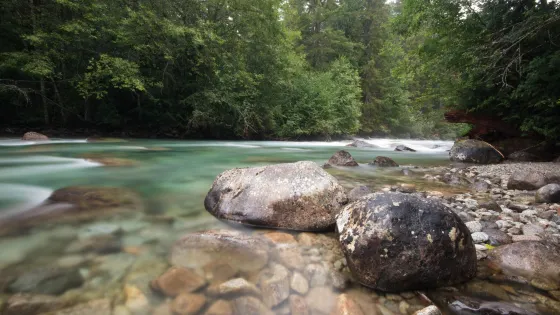 Chilliwack Lake Provincial Park