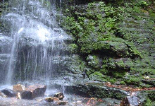 Fairy Bower Falls景点图片