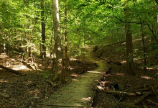 Buford Dam Park景点图片