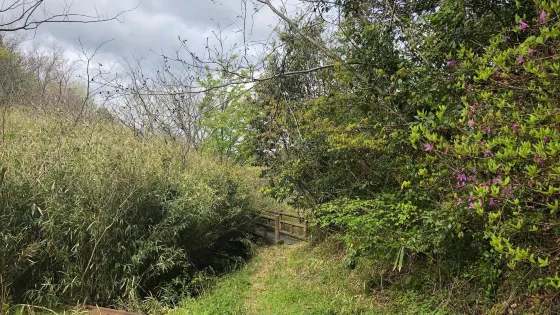 雲井滝