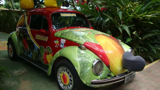 Museu do Caju