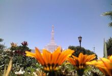Templo Mormon de Ciudad Juarez景点图片