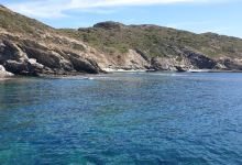 Isola dei Porri景点图片