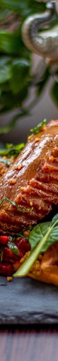 Kimba Elefánt Park-哲里区