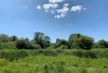 Purwell Meadows Nature Reserve.景点图片