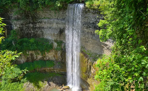 Tews Falls