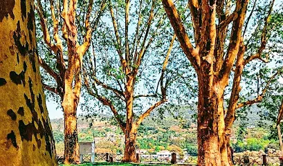 Jardim dos Carvalhais