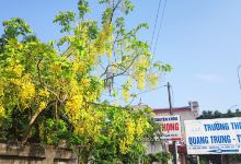 Chùa Bắc Thành Phố景点图片