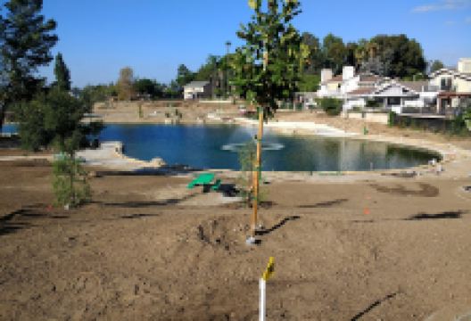 Village Pond Park景点图片