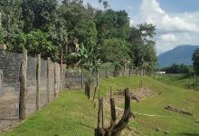 Animal Sanctuary Laos景点图片