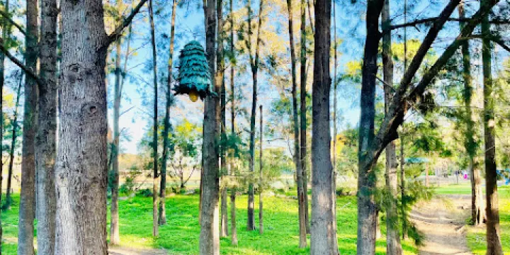 Picton Botanical Gardens