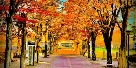 茨城縣筑波美術館