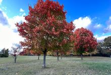 Cascade Township Park景点图片