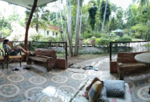 兰花园景点图片