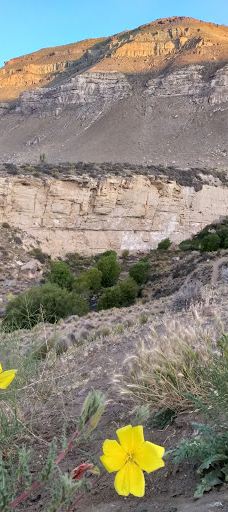 Cañadon Del Arroyo Calafate-阿根廷湖县