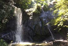 Cascadas del Tepe景点图片