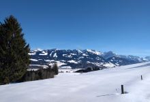 Wittelsbacher Höhe景点图片