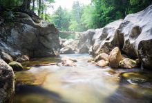 Nineteen Mile Brook Trailhead景点图片