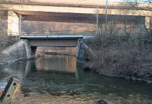 Royal spring景点图片