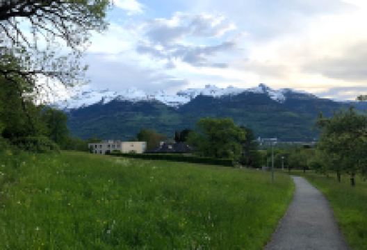 Scenic Lookout景点图片