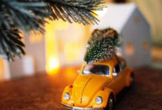 golnar park景点图片