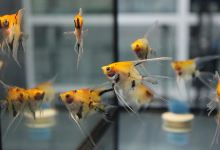 Aquamundo购物图片