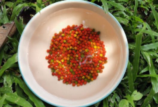 Gartenanlage景点图片