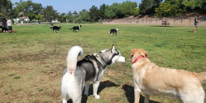 Springville Dog Park