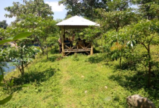 Taman Kehati Dukuhdalem景点图片