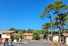 Camping Albret Plage景点图片