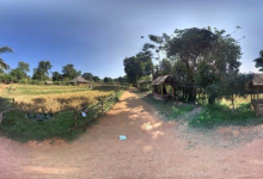 Pinnawala Ape Gama景点图片
