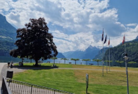 Auslandschweizerplatz景点图片