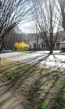 Békés Megyei Könyvtár-贝凯什乔包