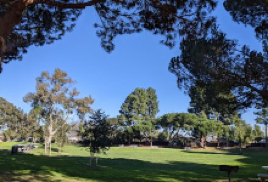 Newark Community Center Park景点图片