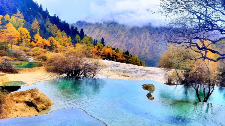 8-Day Small Group Tours: Chengdu Giant Panda Base + Jiuzhaigou + Sanxingdui Museum + Leshan + Mount Emei | 5-Diamond Hotel Stays