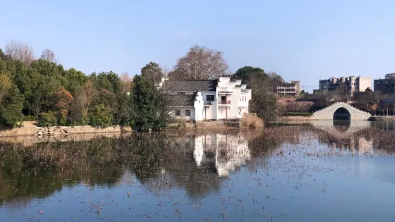 蓮花湖公園