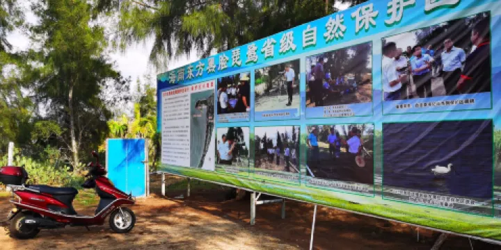 海南東方黑臉琵鷺省級自然保護區