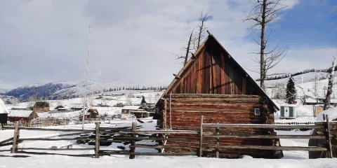 喀納斯景區白哈巴旅遊觀光馬隊