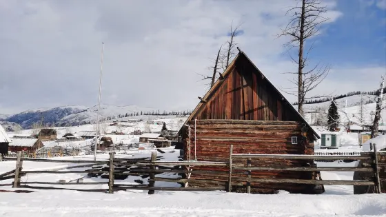 喀納斯景區白哈巴旅遊觀光馬隊