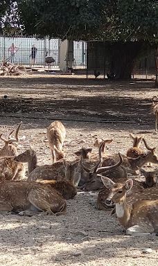 Menachem Begin Park-特拉维夫
