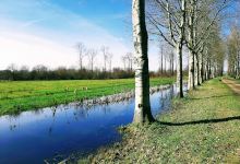 Regulieren景点图片