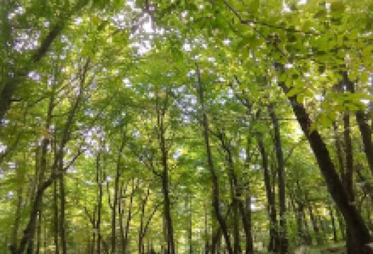 Xəzər istirahət mərkəzi景点图片