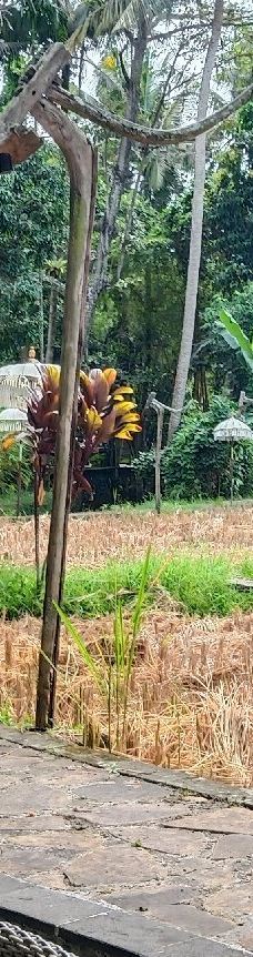 阿尔玛美术馆-巴厘岛