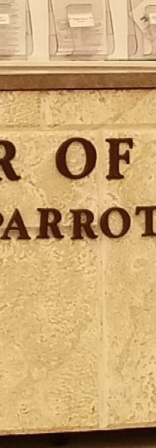 Theater of the Sea-伊斯拉莫拉达