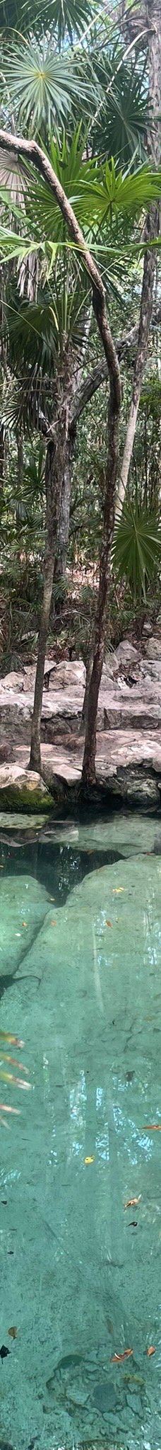 Cenote Azul-索里达瑞达德