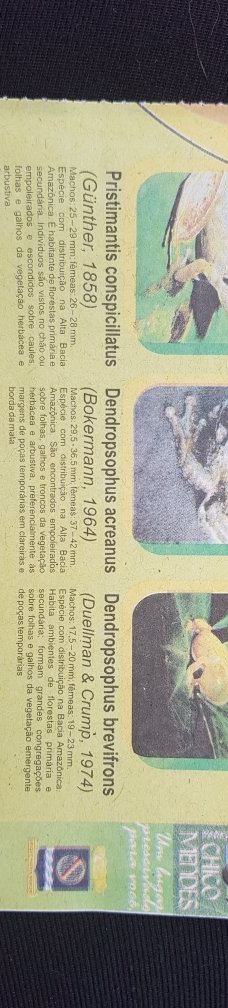 Parque Ambiental Chico Mendes-里奥布朗库