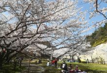 奥山雨山自然公园景点图片